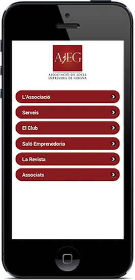 modelo ayuntamientos+asociaciones