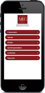 modelo ayuntamientos+asociaciones